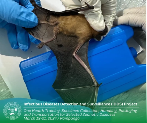 PhilOHUN-USAID-IDDS: One-week training on Specimen Collection, Handling, Packaging and Transport for Selected Zoonotic Diseases