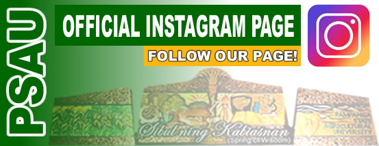 Instagram Page img