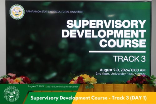 Supervisory Development Course Track 3