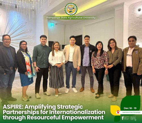 ASPIRE: AMPLIFYING STRATEGIC PATNERSHIPS FOR INTERNATIONALIZATION THROUGH RESOURCEFUL EMPOWERMENT